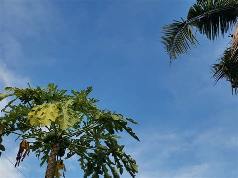 Signal No. 1 in Bohol & some areas in Visayas  .